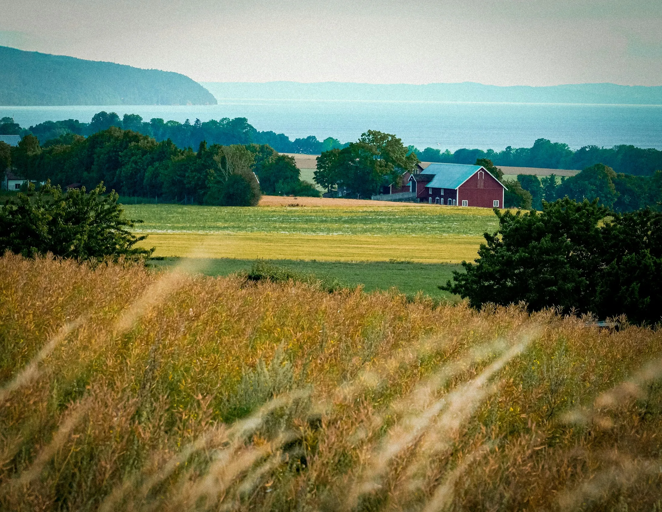 Svenskt lantligt landskap med gröna fält, skog och röda byggnader